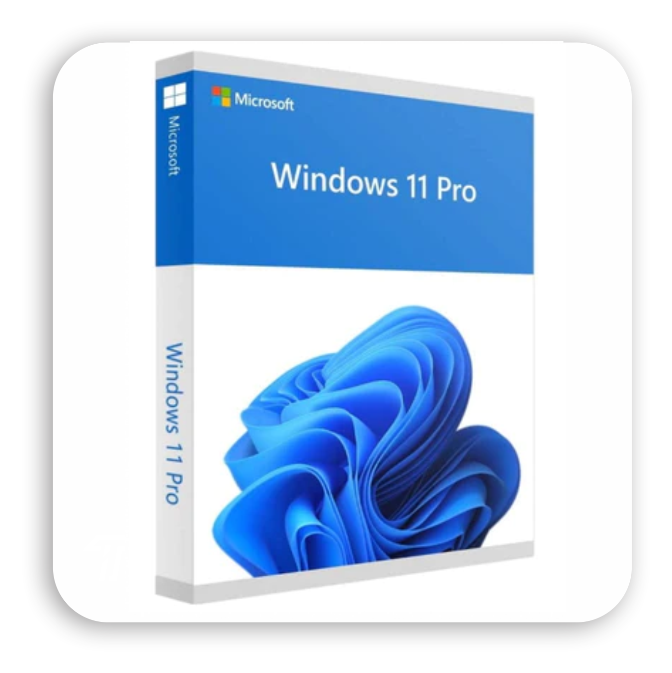 Windows 11 Professional | 32bit/64bit | 1 PC | ESD